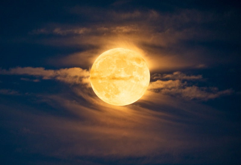 Surfing Moon Collection