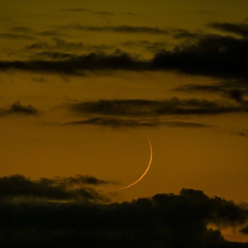 Dreamer's Moon Collection