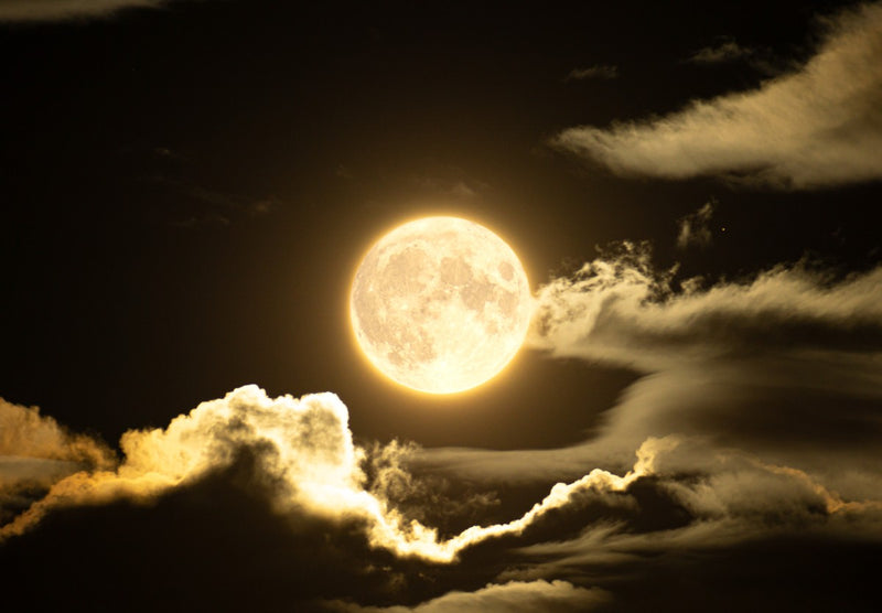 Storm Moon Collection