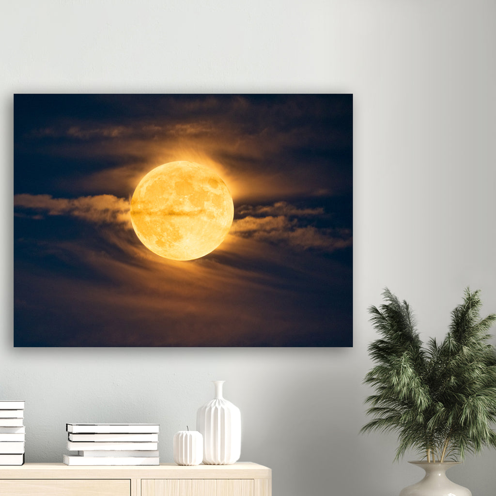 'Surfing Moon' Canvas
