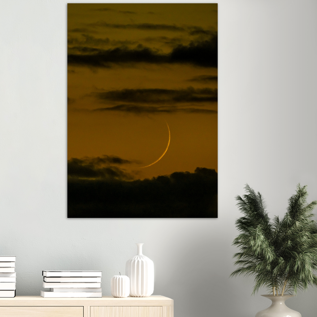 'Dreamer's Moon' Aluminum Print